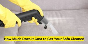 How Much Does It Cost to Get Your Sofa Cleaned: